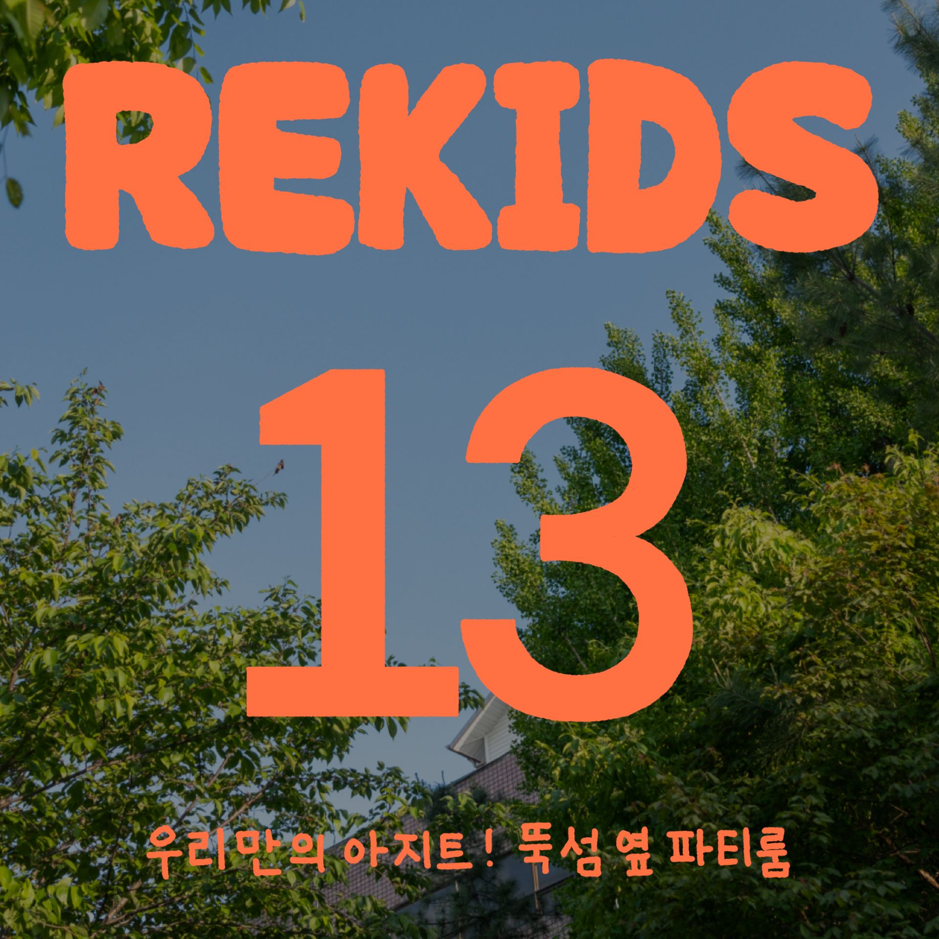 미디어 14